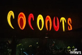 thumbs-discoteca-Coconuts-6