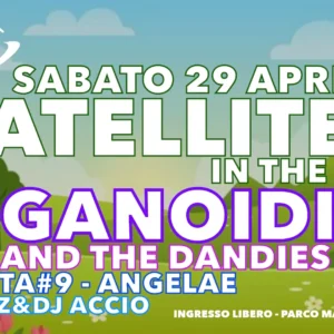 Satellite Rimini Satellite in The Park,Andy and the Dandies,Angelae,Magenta#9,Meganoidi,Capoz,Accio