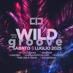 Wild Groove al Classic Club 05 luglio 2025.