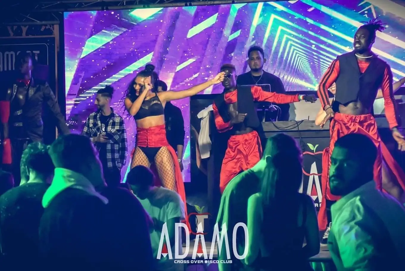adamo disco live