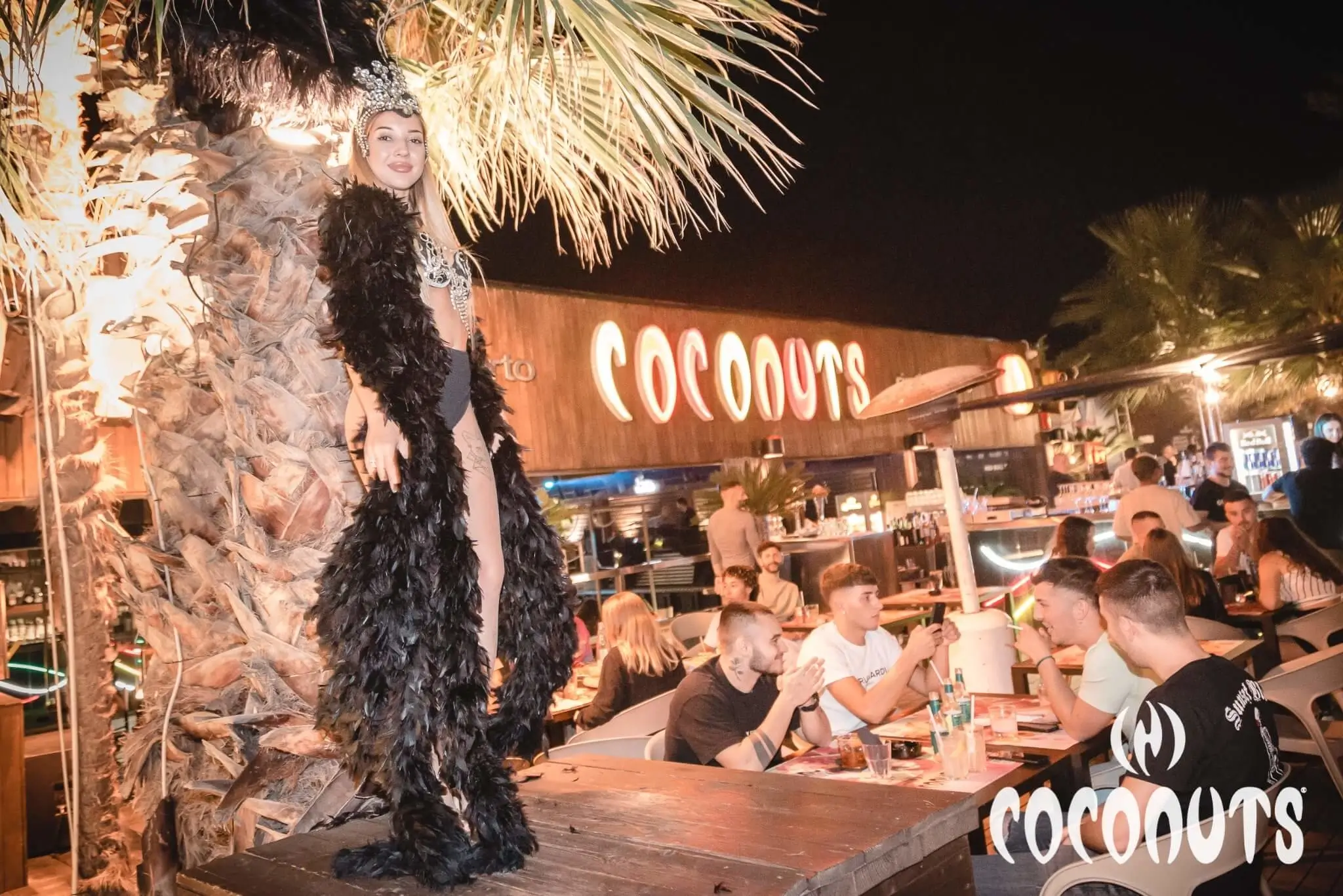 coconuts giardino