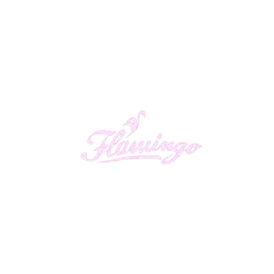 logo_Flamingo Beach Riccione